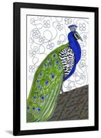 Penelope Peacock-Blenda Tyvoll-Framed Giclee Print