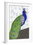 Penelope Peacock-Blenda Tyvoll-Framed Giclee Print