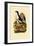 Penguin, 1833-39-null-Framed Giclee Print