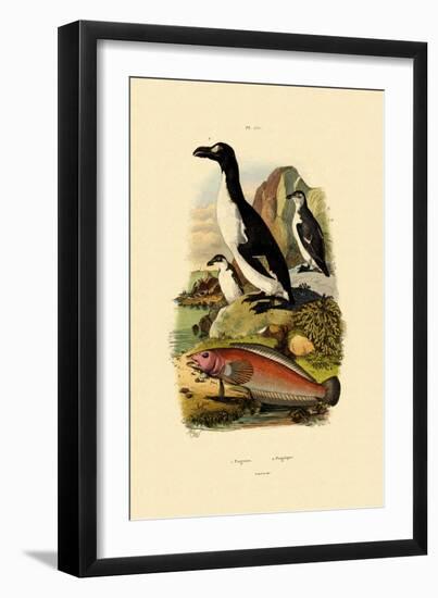 Penguin, 1833-39-null-Framed Giclee Print