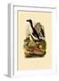 Penguin, 1833-39-null-Framed Giclee Print