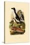 Penguin, 1833-39-null-Stretched Canvas