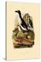 Penguin, 1833-39-null-Stretched Canvas