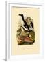 Penguin, 1833-39-null-Framed Giclee Print