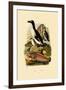 Penguin, 1833-39-null-Framed Giclee Print