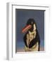 Penguin, 2018,-Peter Jones-Framed Giclee Print