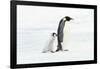 Penguin and Baby-null-Framed Poster