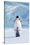Penguin and Chick-null-Stretched Canvas