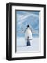 Penguin and Chick-null-Framed Premium Giclee Print