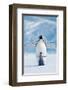 Penguin and Chick-null-Framed Premium Giclee Print