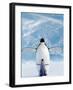 Penguin and Chick-null-Framed Art Print