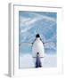 Penguin and Chick-null-Framed Art Print