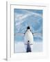 Penguin and Chick-null-Framed Art Print