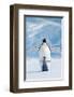 Penguin and Chick-null-Framed Art Print