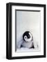 Penguin Chick-null-Framed Premium Giclee Print