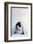 Penguin Chick-null-Framed Premium Giclee Print