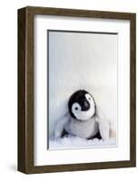 Penguin Chick-null-Framed Art Print