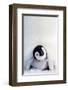 Penguin Chick-null-Framed Art Print