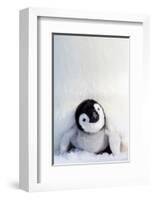 Penguin Chick-null-Framed Art Print
