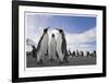 Penguin Conference-Donald Paulson-Framed Giclee Print