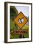 Penguin Crossing Road Sign-null-Framed Photographic Print