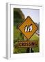 Penguin Crossing Road Sign-null-Framed Photographic Print