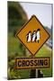 Penguin Crossing Road Sign-null-Mounted Photographic Print