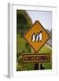 Penguin Crossing Road Sign-null-Framed Photographic Print