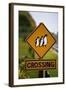 Penguin Crossing Road Sign-null-Framed Photographic Print