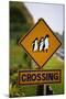 Penguin Crossing Road Sign-null-Mounted Photographic Print
