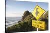 Penguin Crossing Sign-null-Stretched Canvas