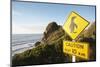 Penguin Crossing Sign-Paul Souders-Mounted Photographic Print