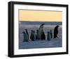 Penguin Families-null-Framed Art Print