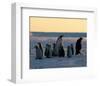 Penguin Families-null-Framed Art Print