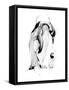 Penguin Fuel-Alexis Marcou-Framed Stretched Canvas