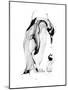 Penguin Fuel-Alexis Marcou-Mounted Art Print