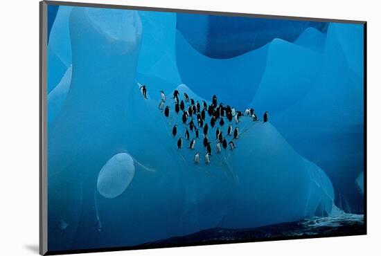 Penguin Group On A Glacier-null-Mounted Art Print