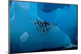 Penguin Group On A Glacier-null-Mounted Art Print