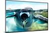 Penguin is under Water Looking at Camera-Aleksandar Todorovic-Mounted Photographic Print