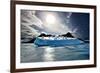 Penguin Island-Howard Ruby-Framed Photographic Print