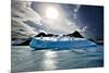 Penguin Island-Howard Ruby-Mounted Photographic Print