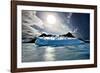 Penguin Island-Howard Ruby-Framed Photographic Print