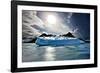 Penguin Island-Howard Ruby-Framed Photographic Print