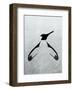 Penguin - Jethro Wilson Contemporary Wildlife Print-Jethro Wilson-Framed Art Print