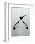 Penguin - Jethro Wilson Contemporary Wildlife Print-Jethro Wilson-Framed Art Print