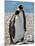 penguin, King, pair-George Theodore-Mounted Photographic Print
