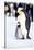 Penguin, Maternal Moment-null-Stretched Canvas