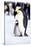 Penguin, Maternal Moment-null-Stretched Canvas