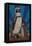 Penguin - Mosaic-Lantern Press-Framed Stretched Canvas