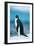 Penguin on Snow-moodboard-Framed Photographic Print